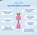 Що таке щитоподібна залоза?