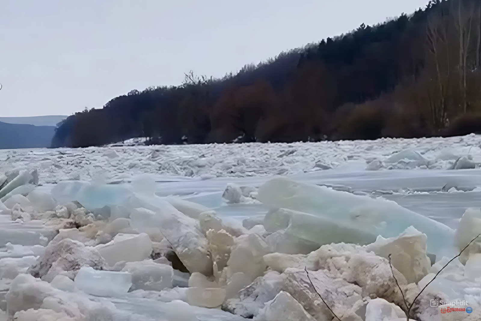 На Буковині зафіксували масштабний льодохід на Дністрі (відео)